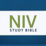 NIV New International Version Bibles - Christianbook.com