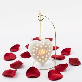 Light-Up Love Heart