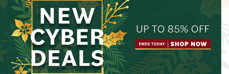 Ends Today New Cyber Deals