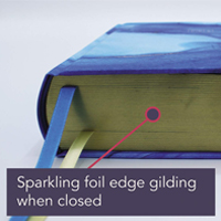 Features Sparkling foil edge gilding when closed (NIV Blue)