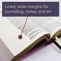 Features Lined, wide margins for journaling, notes, and art (NIV Multicolor)