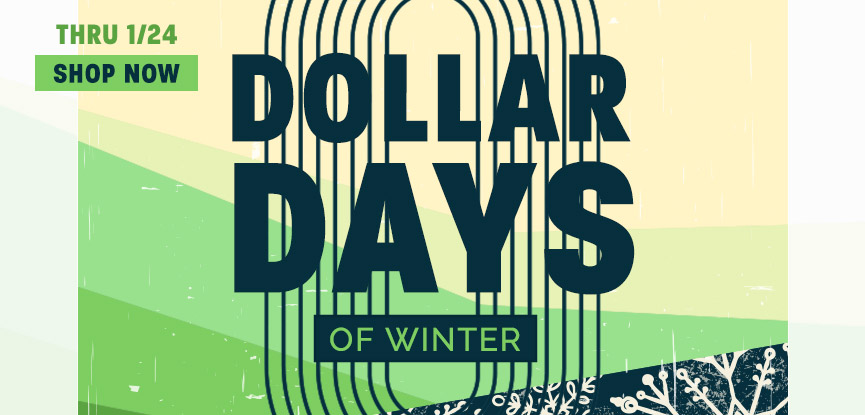 Dollar Days of Winter