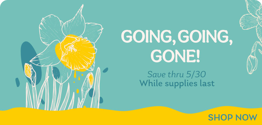 Going, Going, Gone! Save thru 5/30- While supplies last. Shop Now.