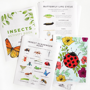 Insects Activity Book