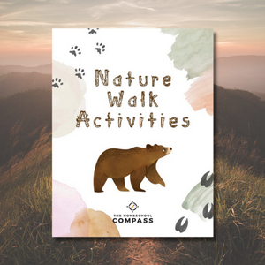 Nature Walk Activities