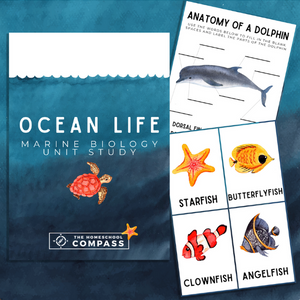 Ocean Life Packet