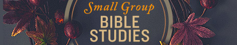 romans bible study for small groups