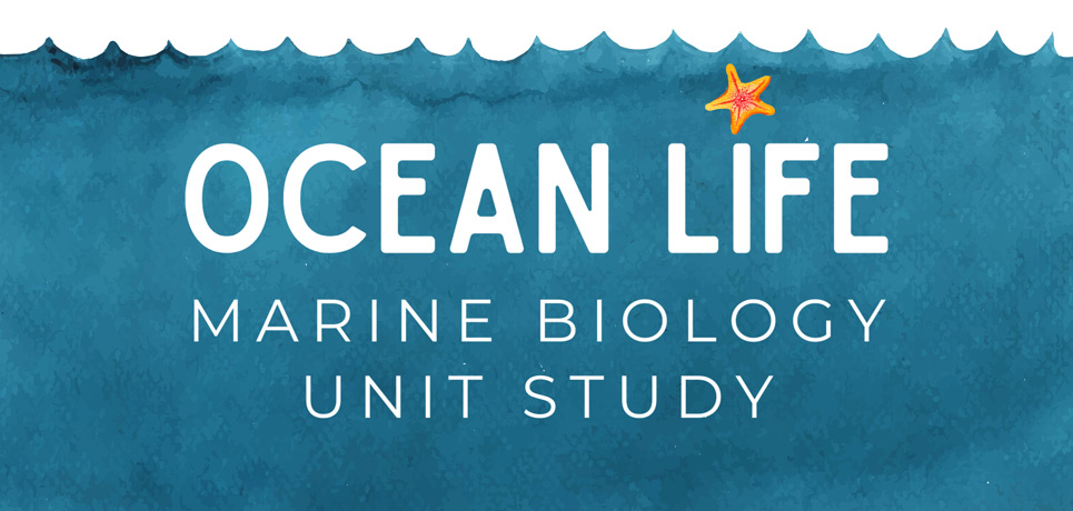 Download a FREE Ocean Life Printable Packet!