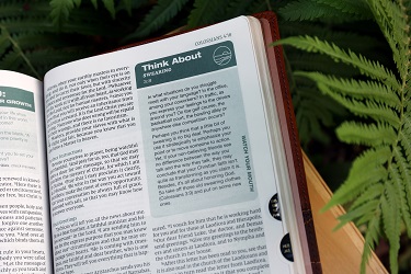 Rooted: The Niv Bible For Men - Christianbook.com