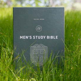 Gift Bibles for Him