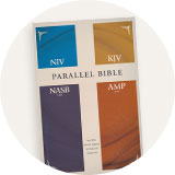 Parallel Bibles