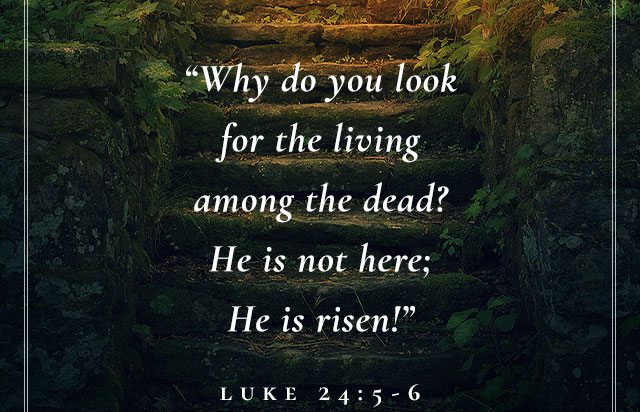 He is not here; He is risen!â€ Luke 24:5-6