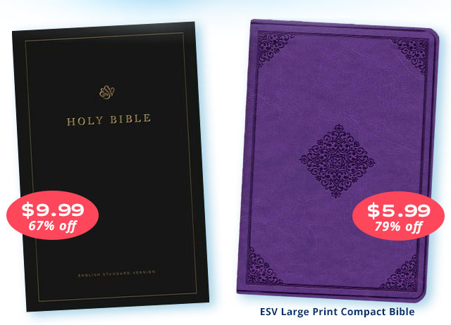BIBLES $10 or Less