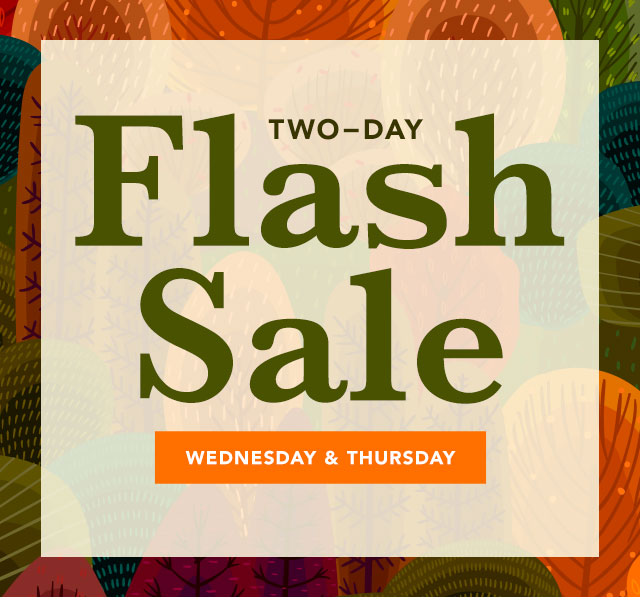 Flash Sale - Two Days | Save up to 84 Percent