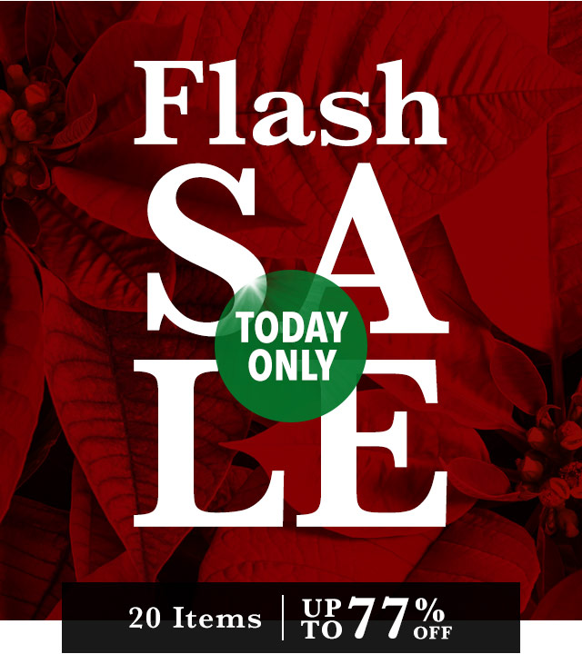Flash Sale - Today Only