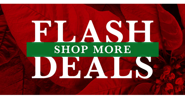 Shop More Flash Deals
