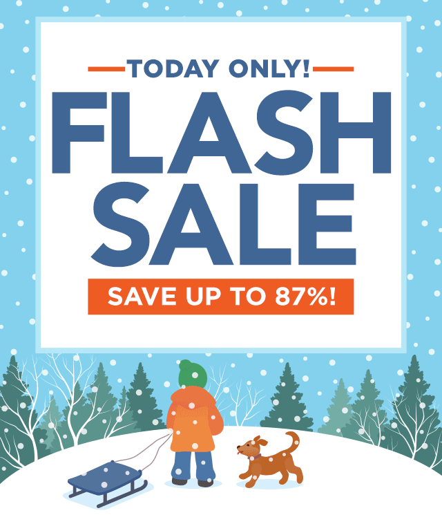 Flash Sale - Save up to 87% Today Only!