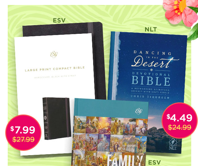 Spring Cyber Sale - Bibles