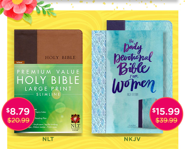 Spring Cyber Sale - Bibles