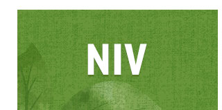 NIV