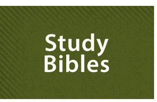 Study Bibles