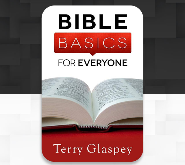 Bible Basics for Everyone by Terry Glaspey